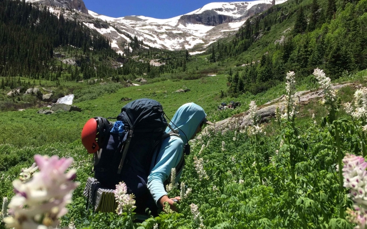 A person wearing a backpack hikes through a green mountain meadow dotted with wildflowers.